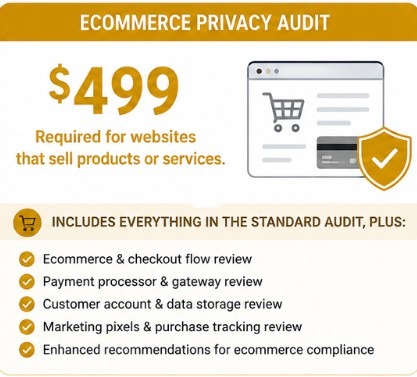 Ecommerce Privacy Audit